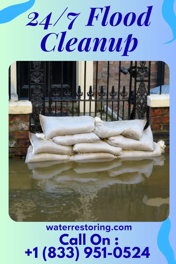 24/7 Flood Cleanup in Floris, IA