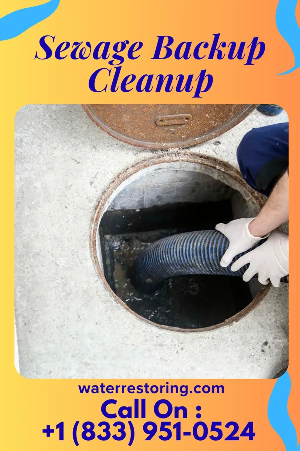 Sewage Backup Cleanup in Floris, IA