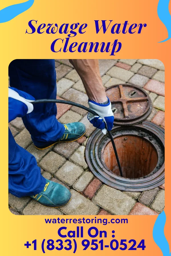 Sewage Water Cleanup in Floris, IA